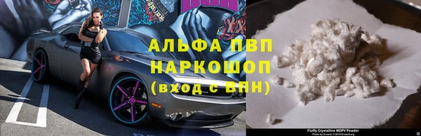 PSILOCYBIN Бородино
