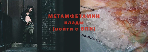 PSILOCYBIN Бородино