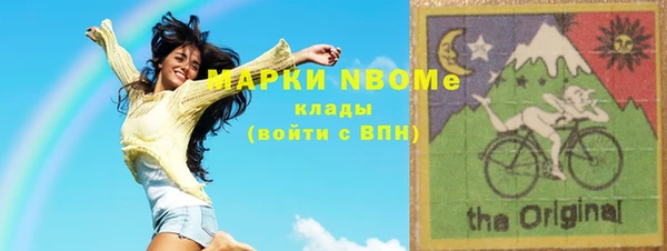 прущие грибы Тайга