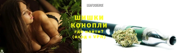 PSILOCYBIN Бородино