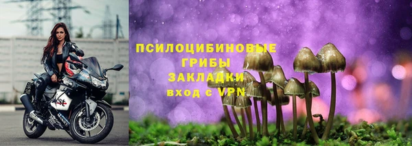 PSILOCYBIN Бородино